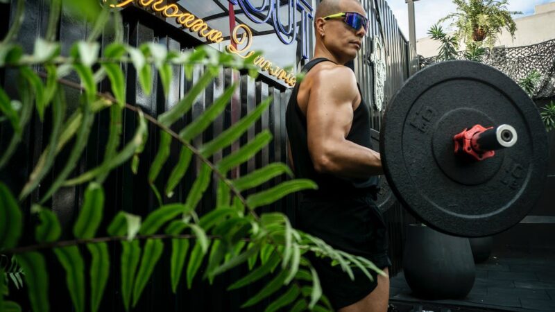 Main Elements of a Workout Session