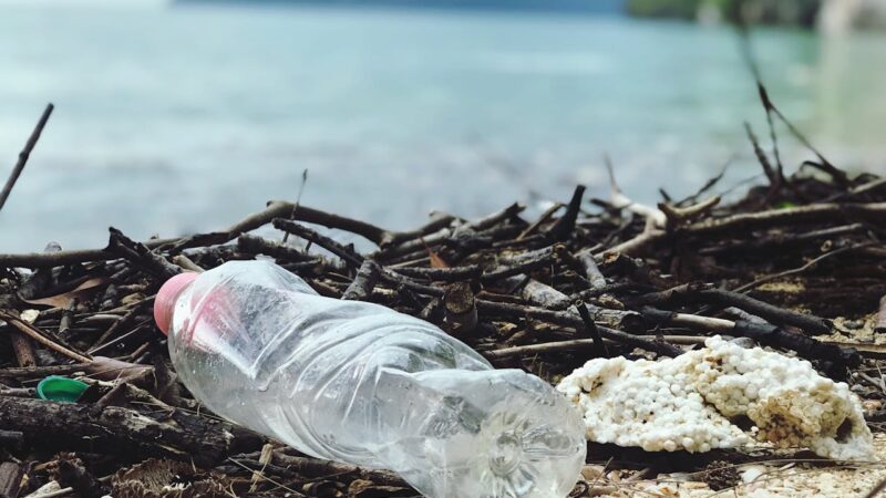 Let’s Tackle Plastic Together: DMC’s New Plan for World Environment Day