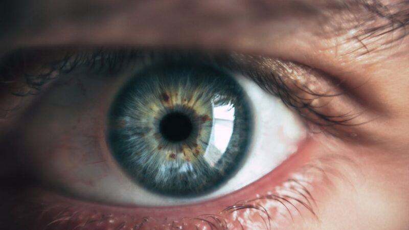 How Can You Protect Your Eyes from ‘Eye Stroke’ During Scorching Heatwaves